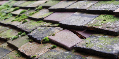 Greet roof repair costs